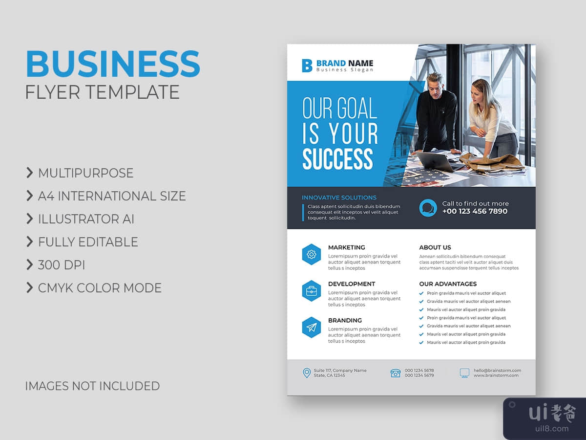 Business Flyer Template