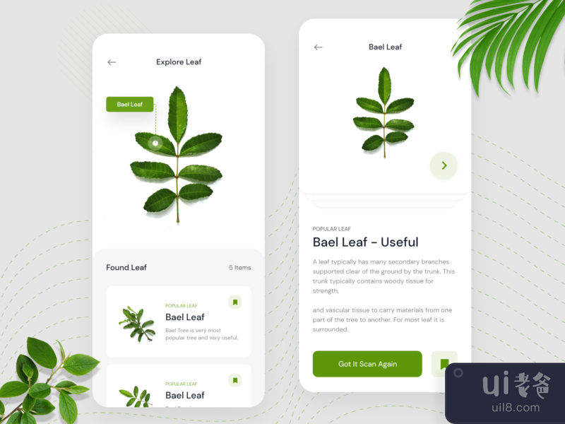 Leaf Scanner App Concept - AI