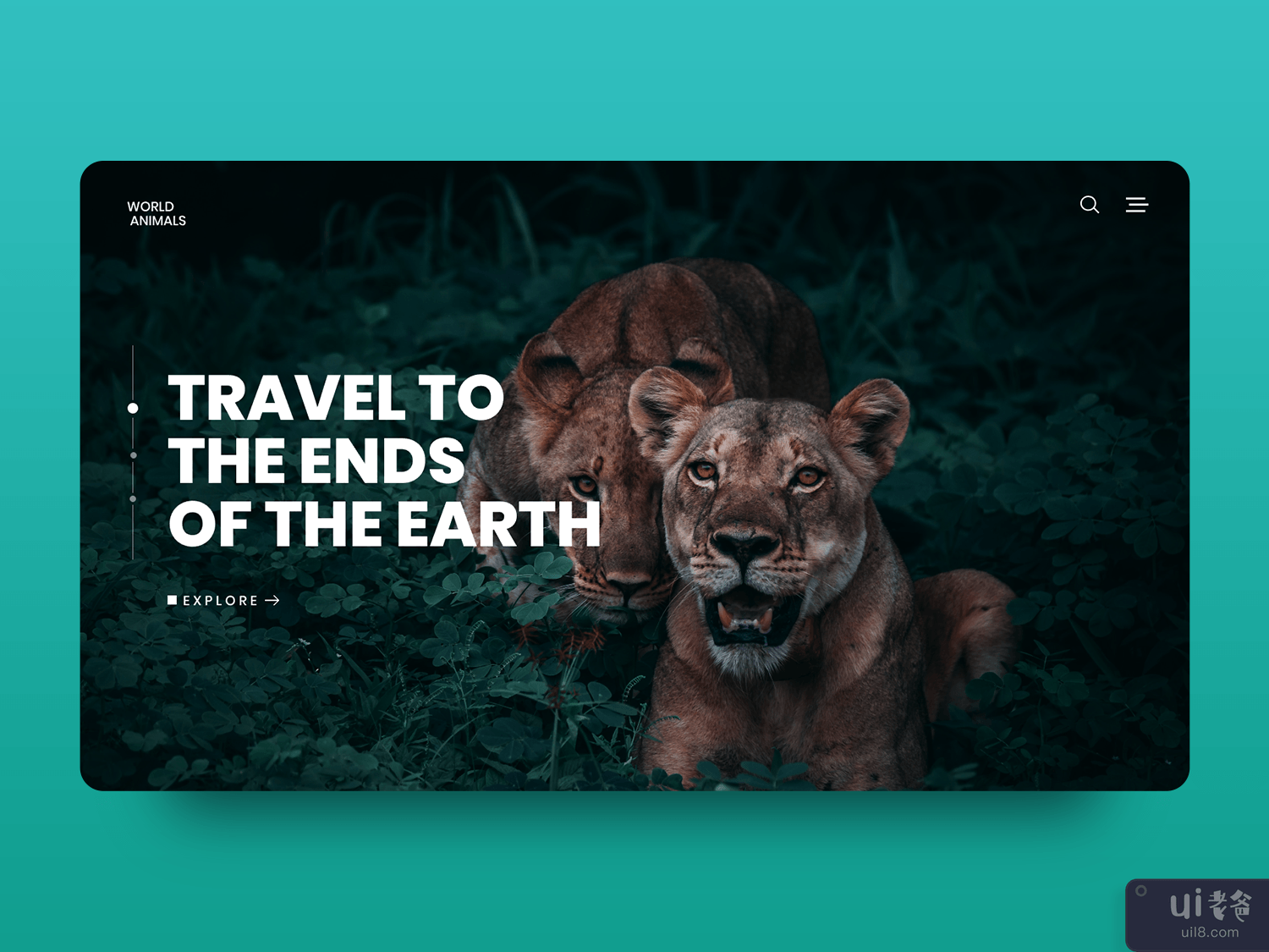 Animal world  Website Concept