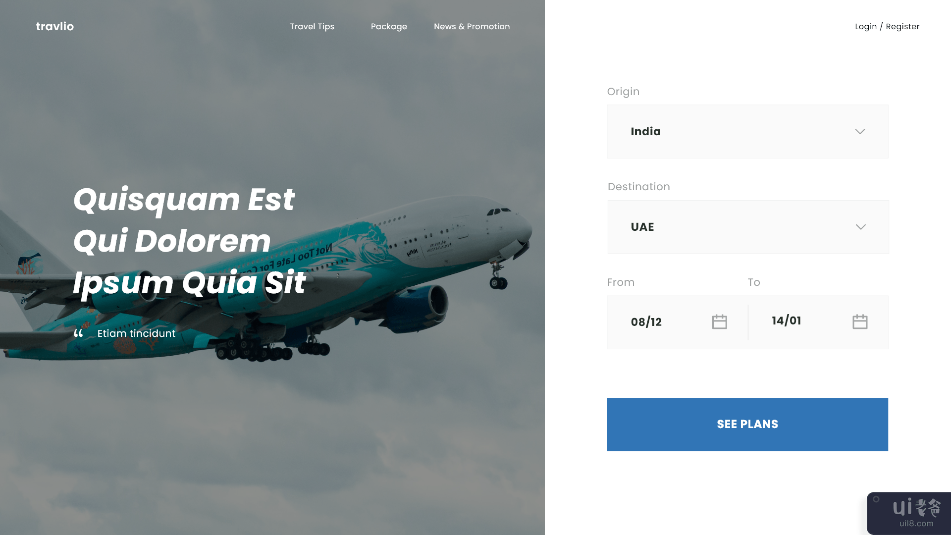 航班预订网页(Flight Booking Web Page)插图