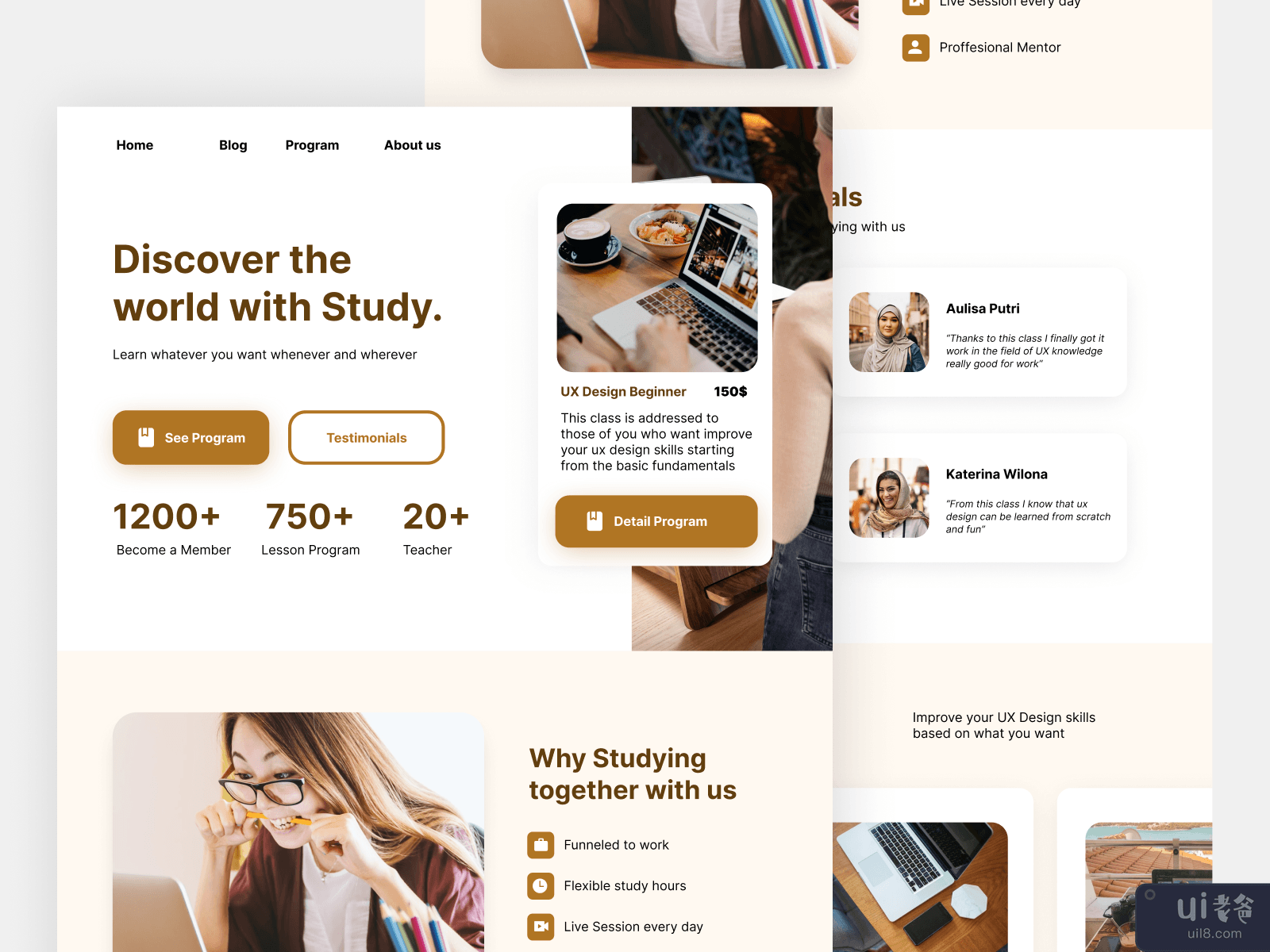 Studied - Education Website Concept