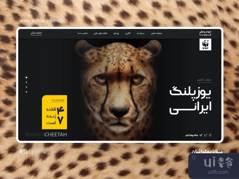 伊朗猎豹（RTL + LTR）(Iranian Cheetah ( RTL + LTR ))插图