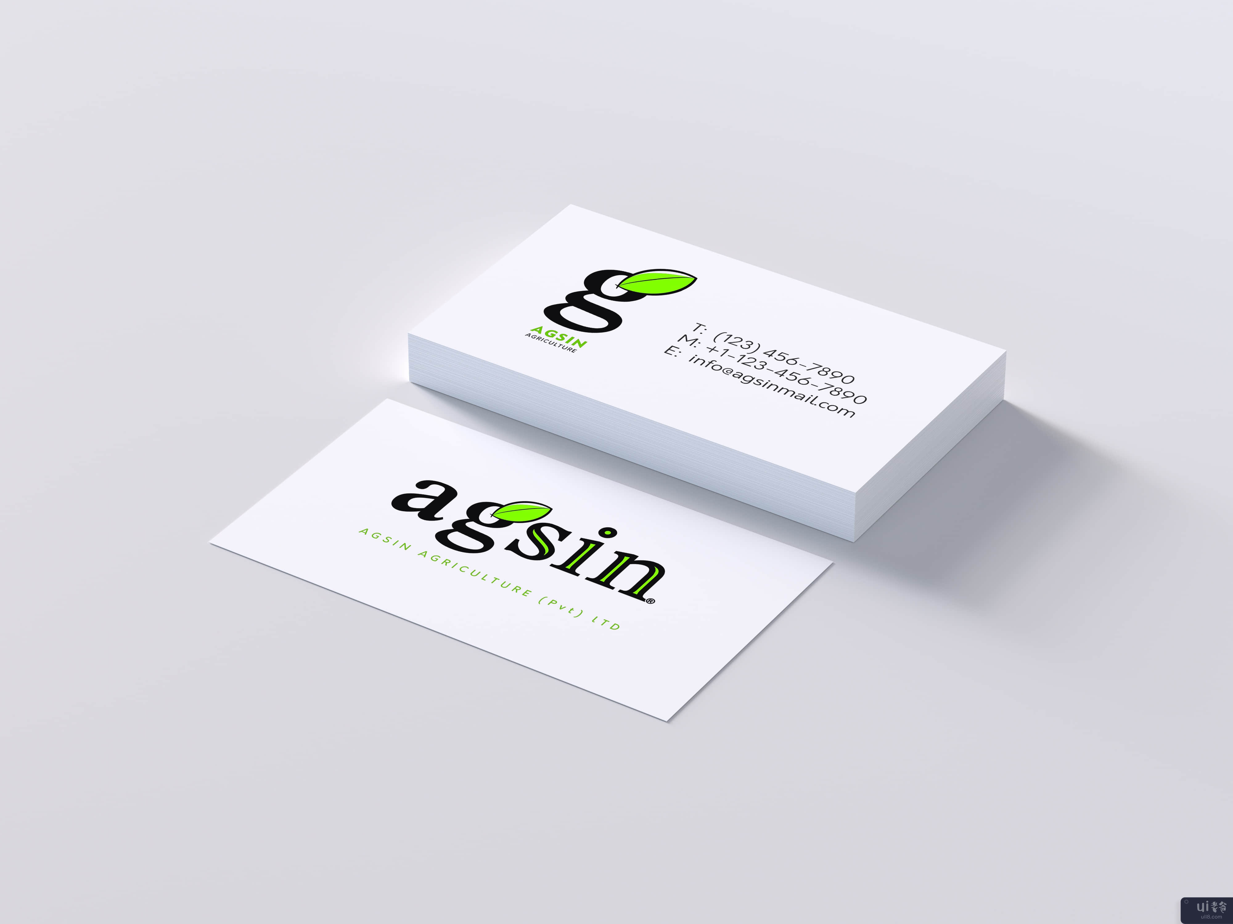 名片挑战 - Agsin 品牌标识(Business Card Challenge - Agsin Brand Identity)插图2