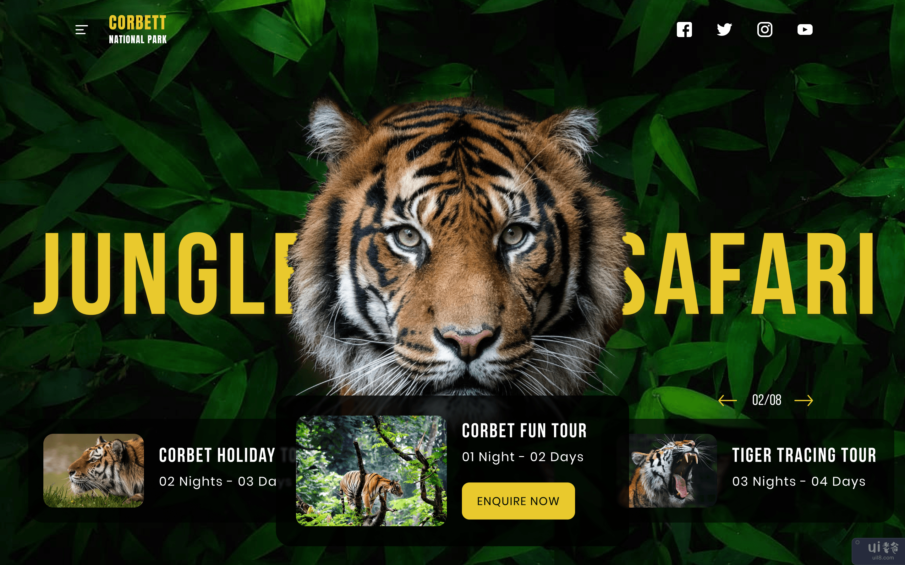 野生动物丛林野生动物园(Wildlife Jungle safari)插图