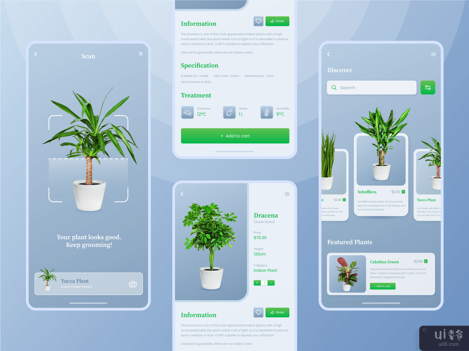 Plant Market Mobile App UX UI Design