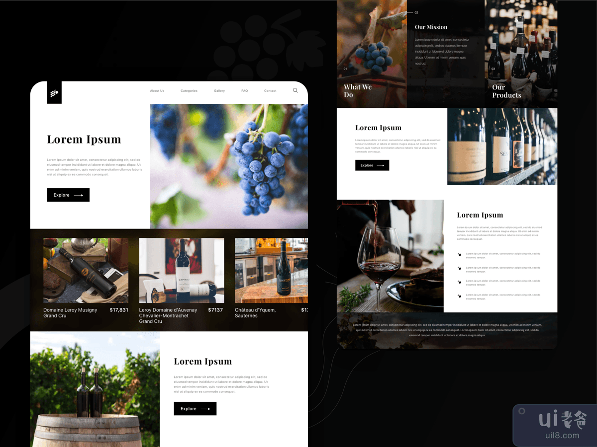 酒厂的登陆页面(Landing page for a winery)插图