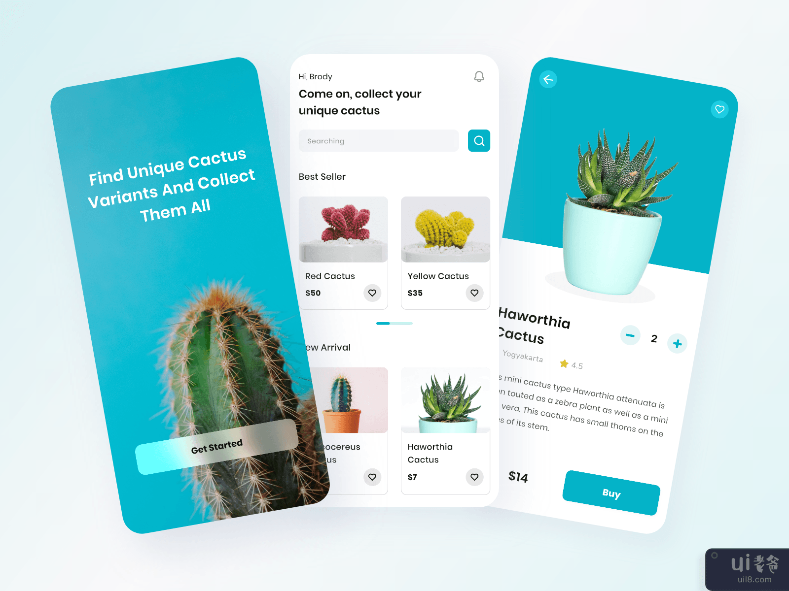 Cacti - Cactus Store Online