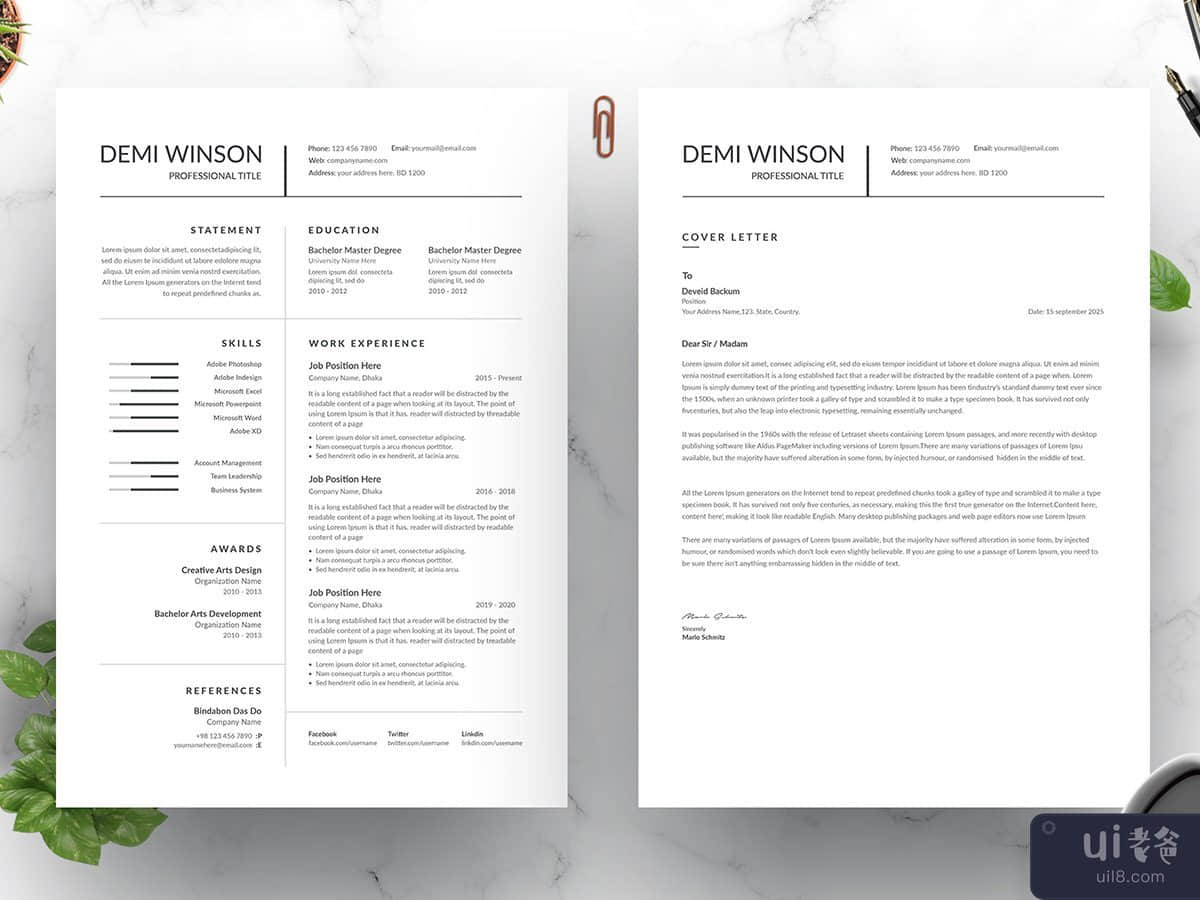 简历模板(Resume Template)插图2