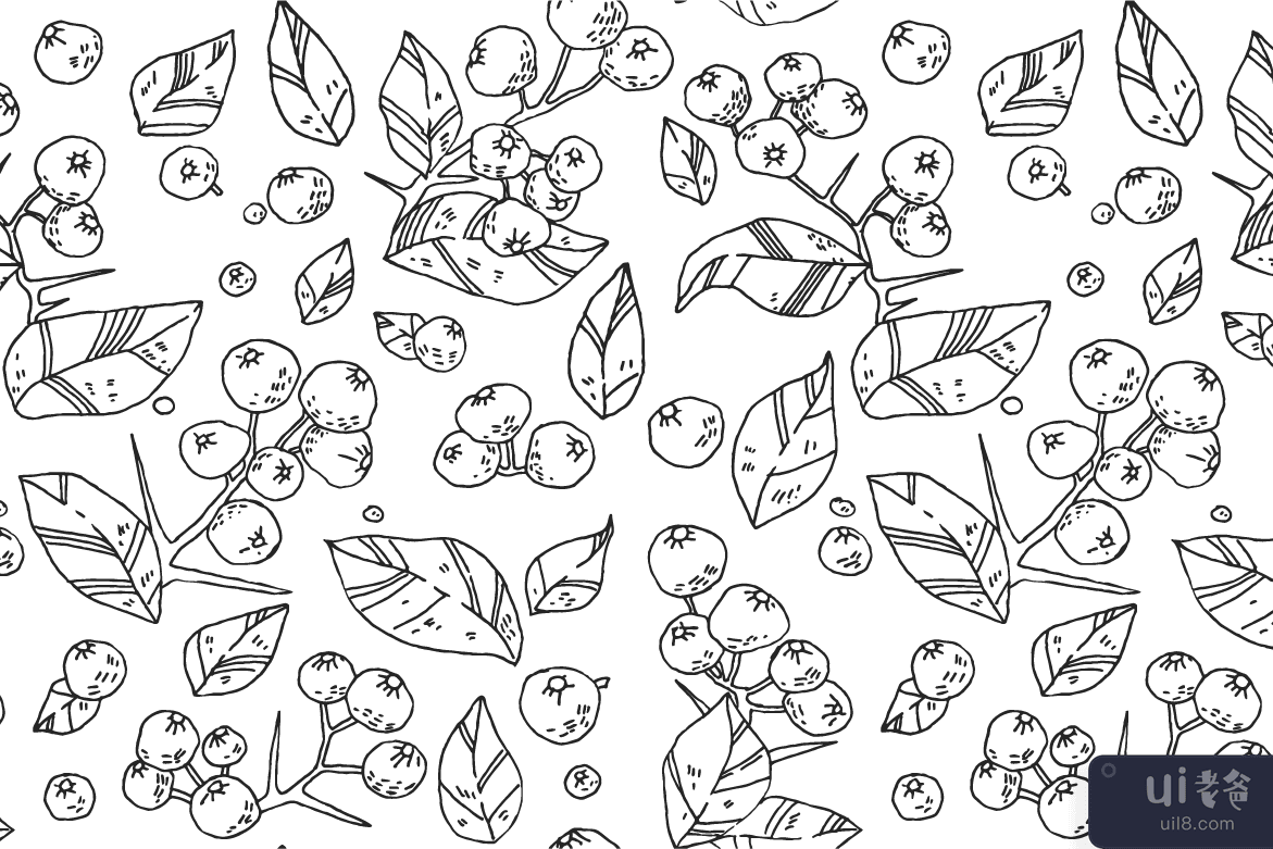 浆果图案，vol.2(Berries pattern, vol.2)插图