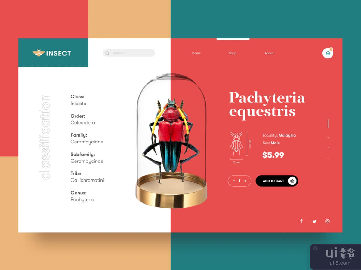 Insect Landing Page Design