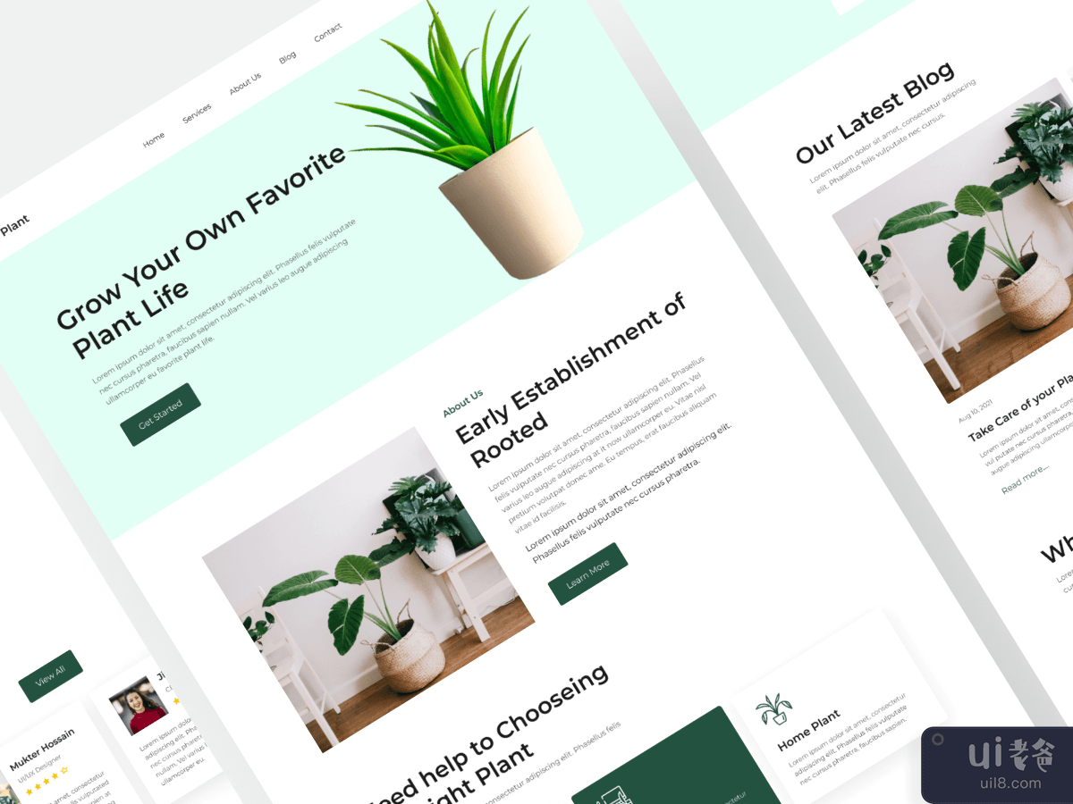 Plant Web Landing Page Design