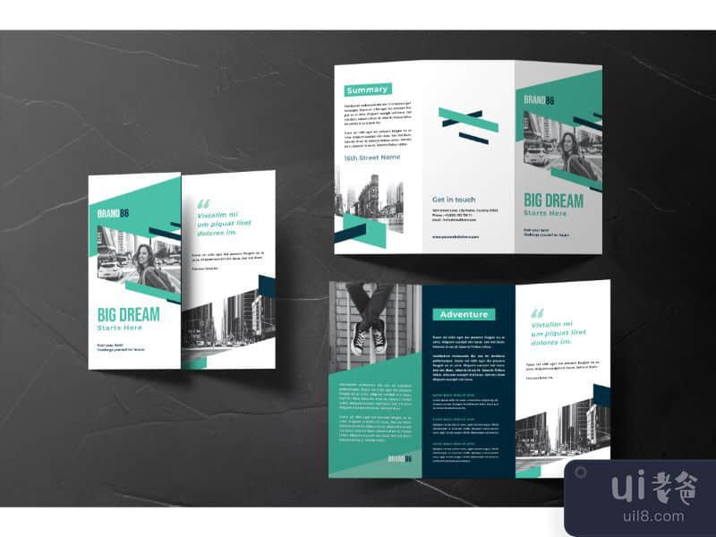 TriFold Brochure