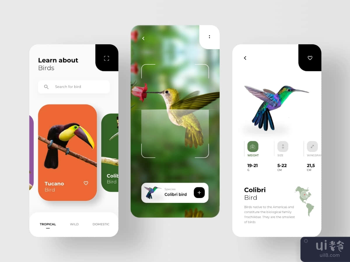Bird Search App