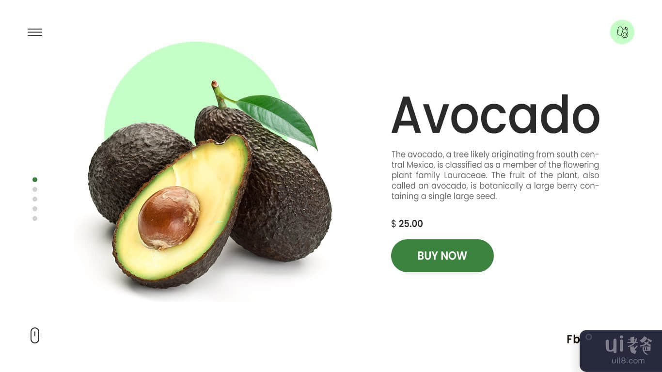 在线水果鳄梨网页登陆页面(Online Fruit Avocado Web Landing Page)插图