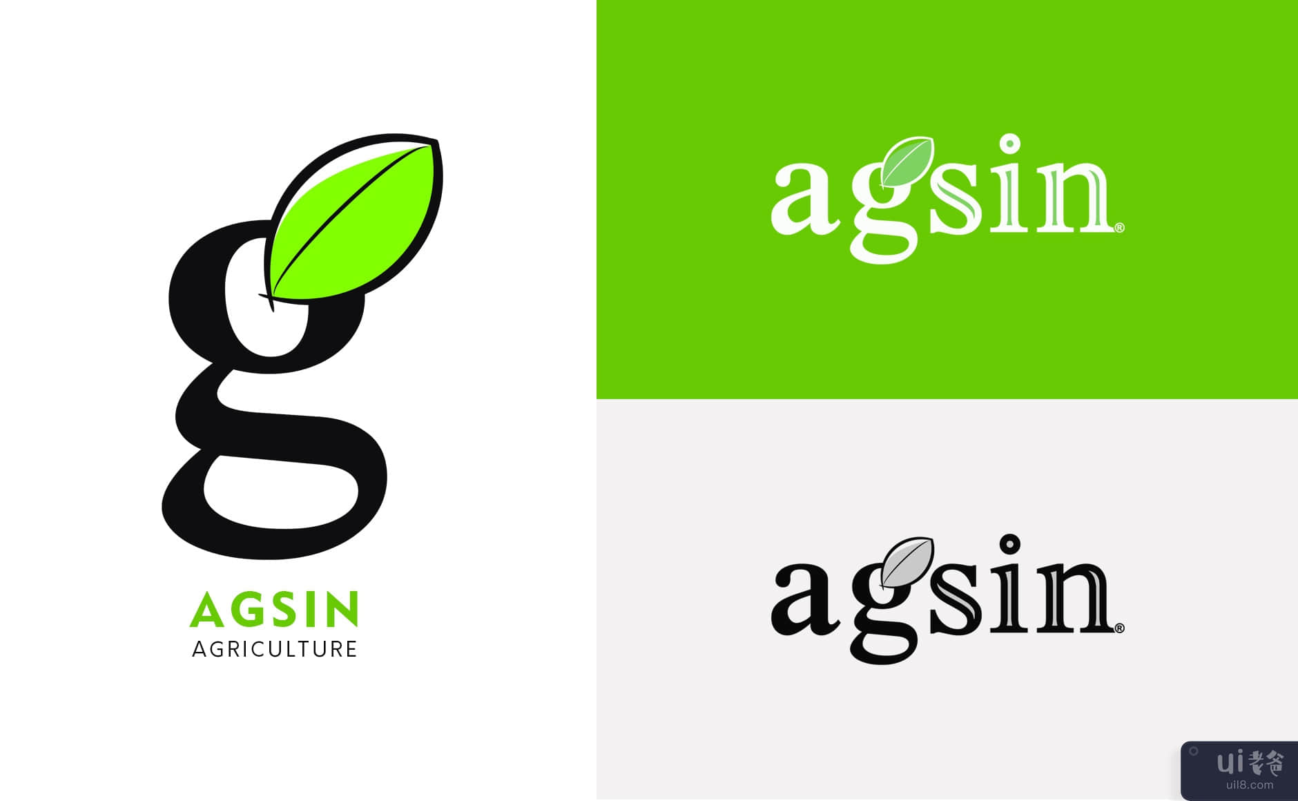 名片挑战 - Agsin 品牌标识(Business Card Challenge - Agsin Brand Identity)插图1