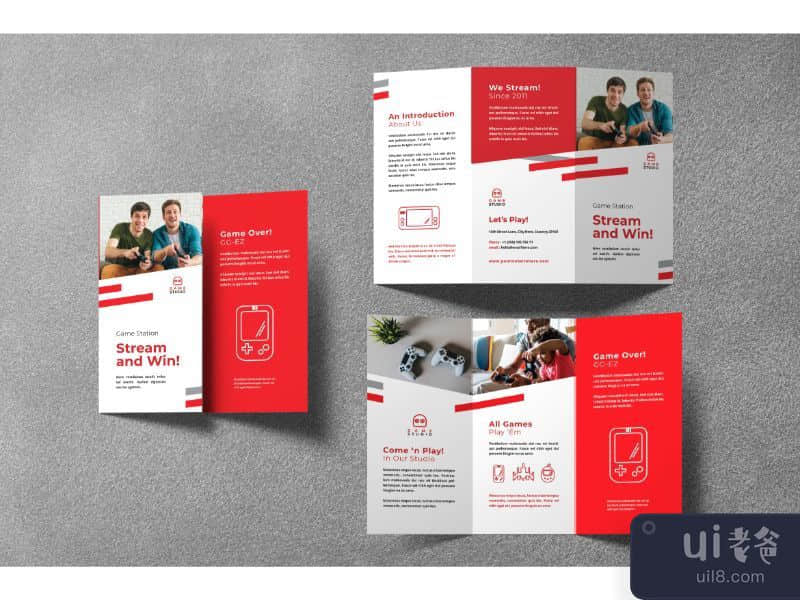 TriFold Brochure