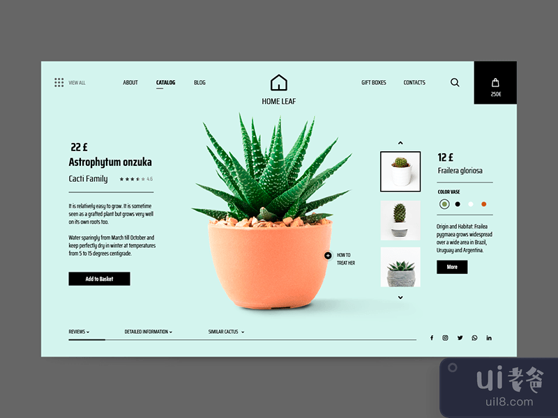 Cactus Shop - Product Page