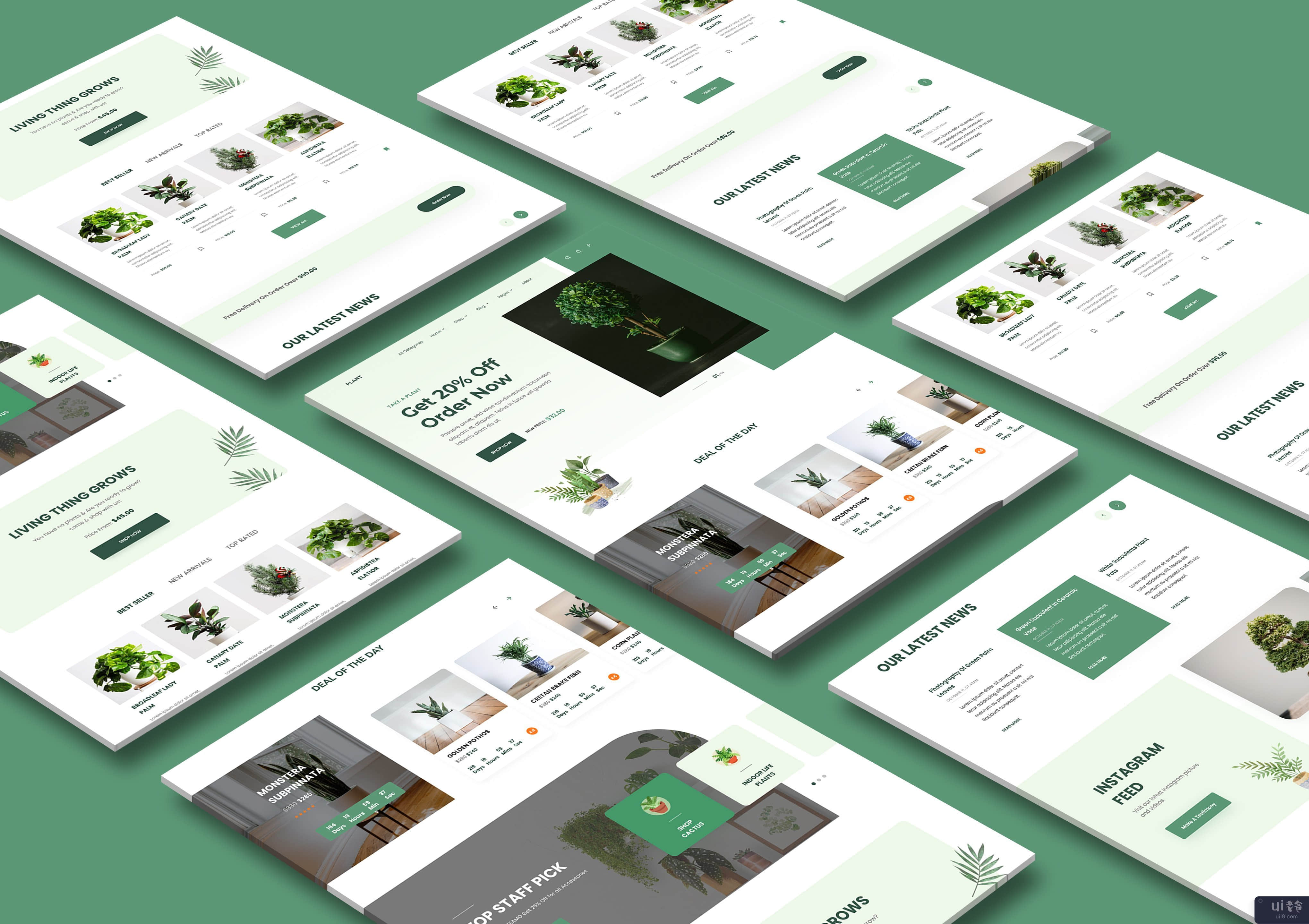 Plant Shop - 登陆页面设计(Plant Shop - Landing Page Design)插图