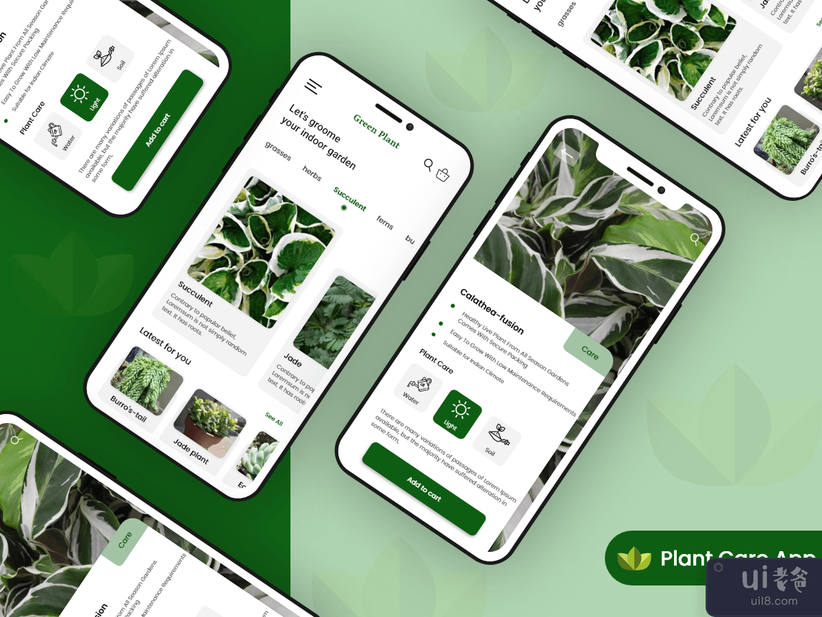 植物护理应用程序(Plant Care App)插图