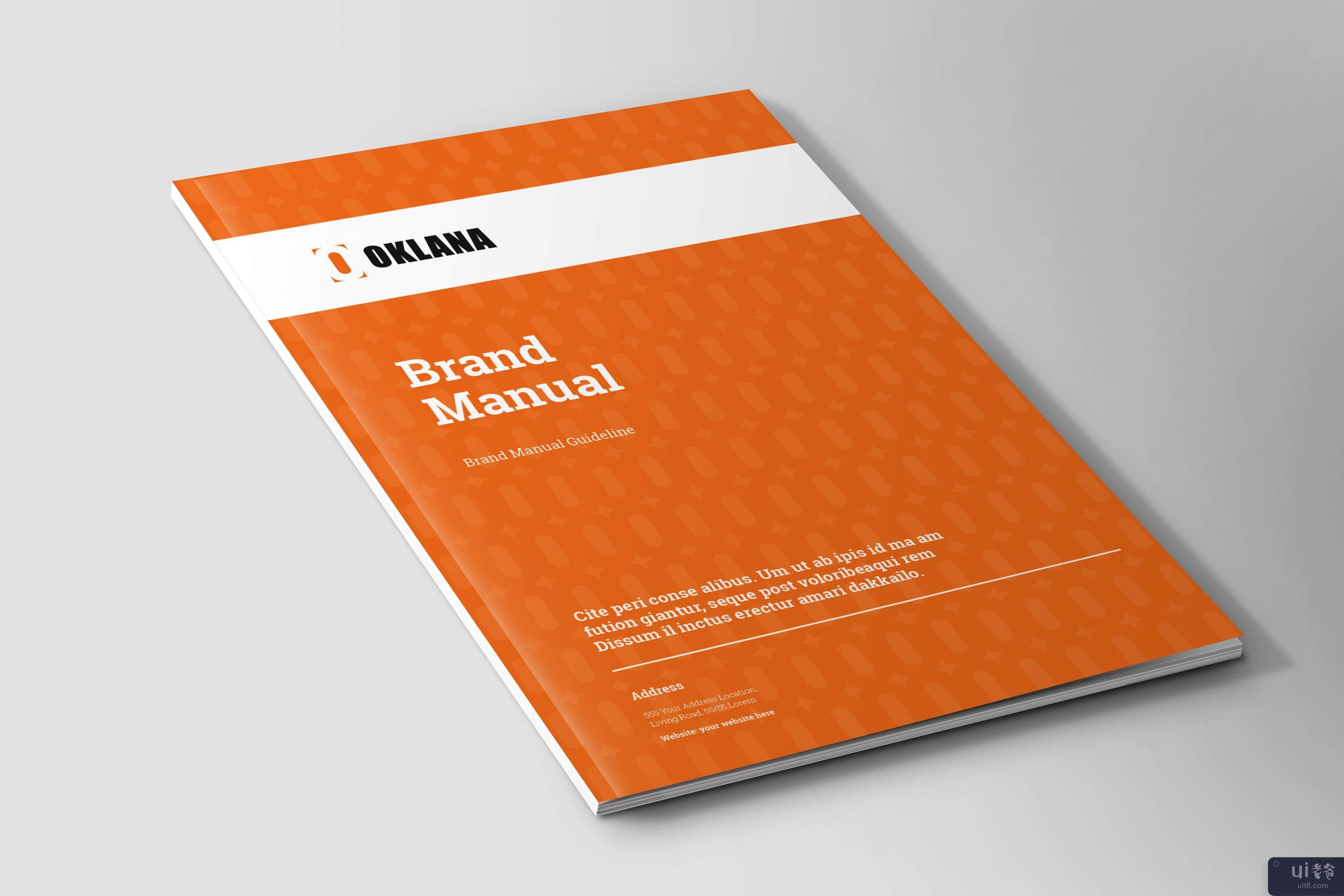 品牌手册指南 | InDesign 模板(Brand Manual Guideline | InDesign Template)插图1