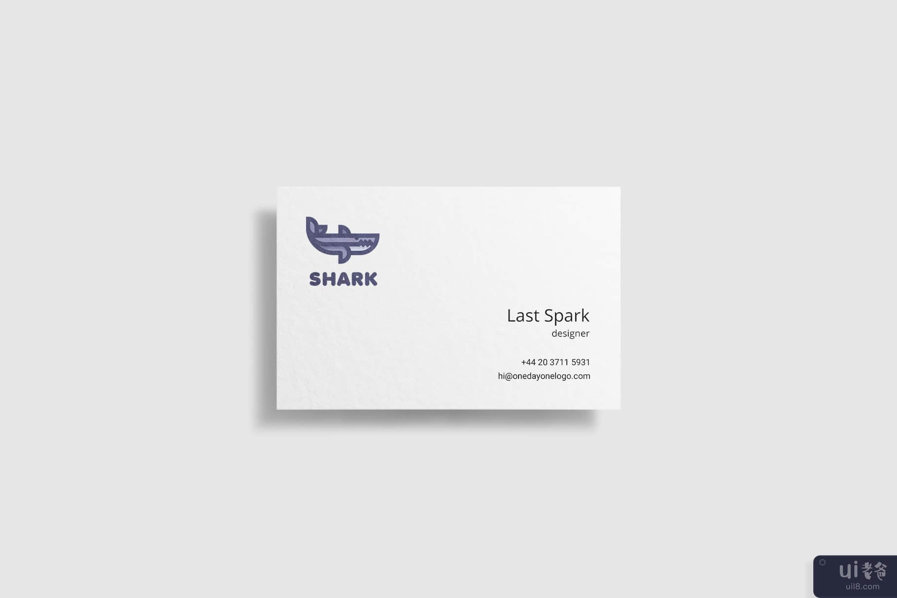 鲨鱼(Shark)插图4