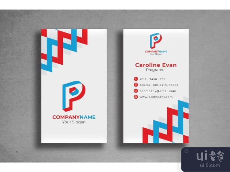 Business Card Programmer Name Card