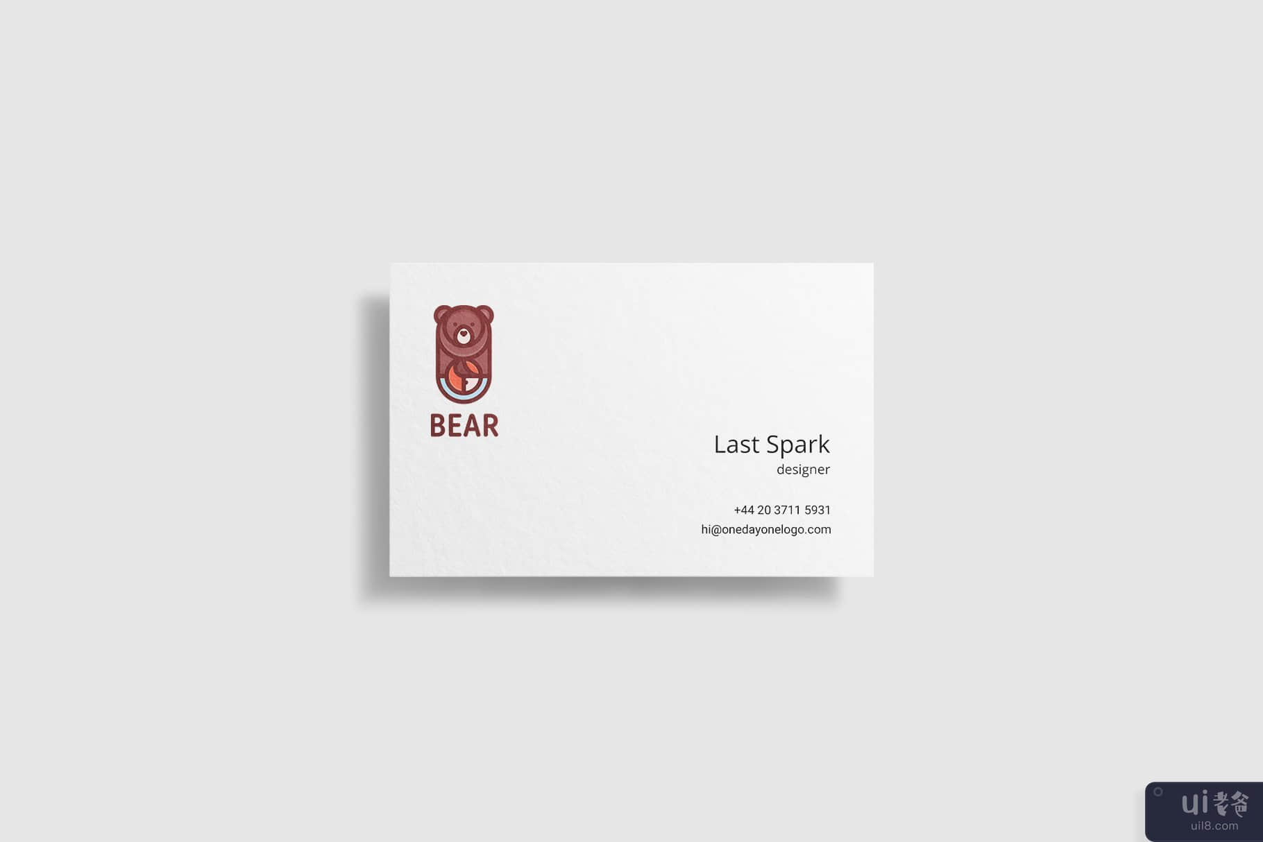 熊(Bear)插图4