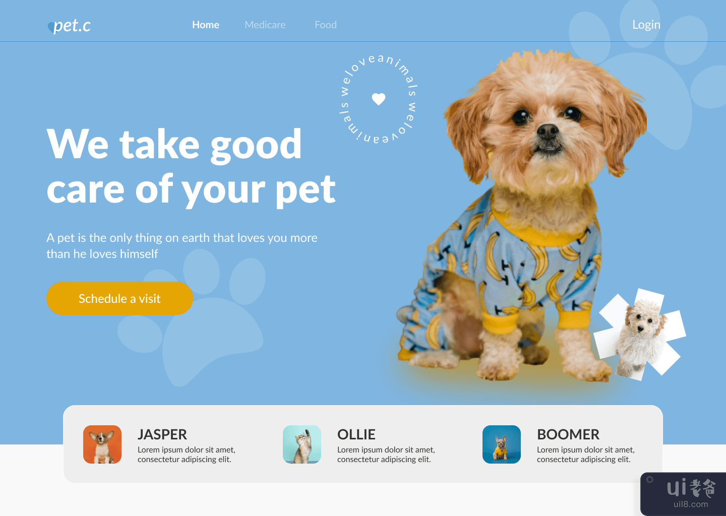 宠物护理(Pet care)插图