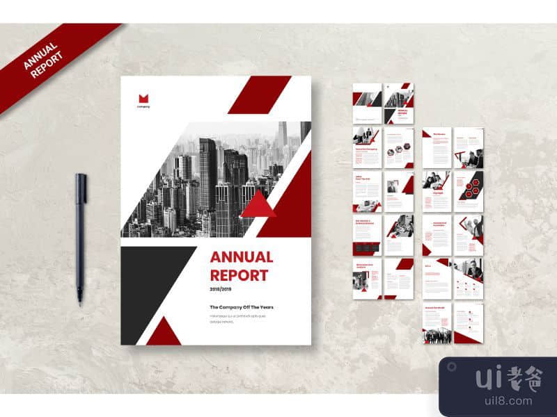 Annual Report Companies Review