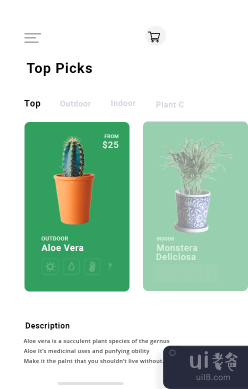 植物商店(plant store)插图1