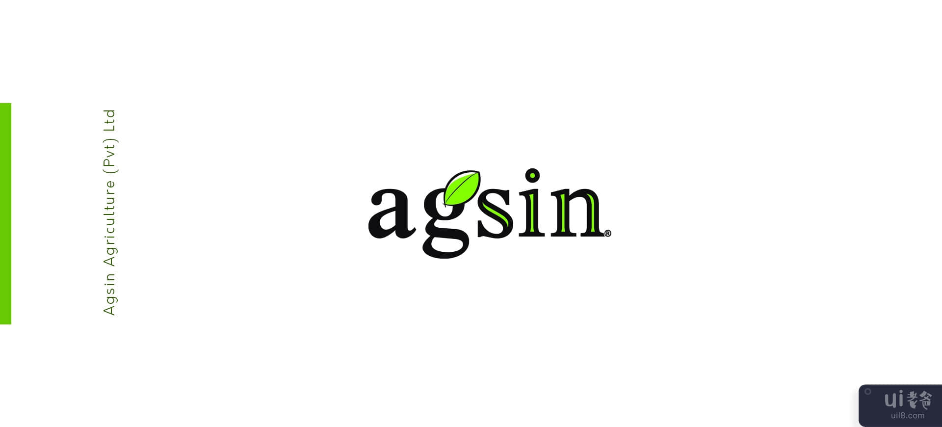 名片挑战 - Agsin 品牌标识(Business Card Challenge - Agsin Brand Identity)插图