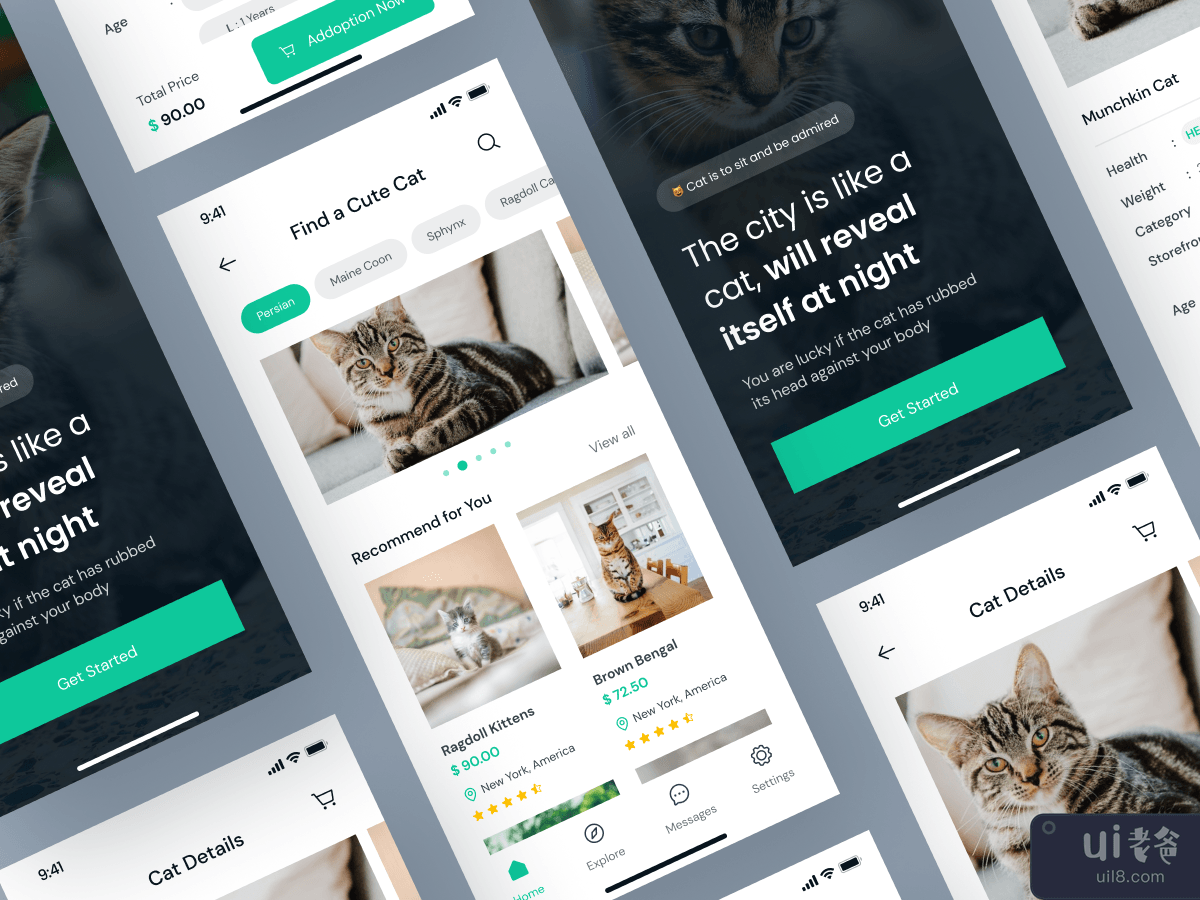 Cat Adoption Mobile Apps Design