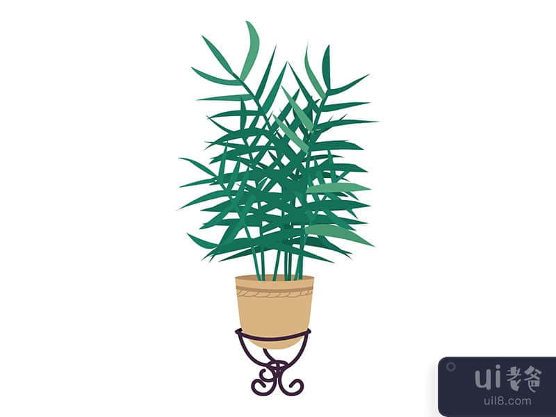 Parlor palm in pot semi flat color vector object