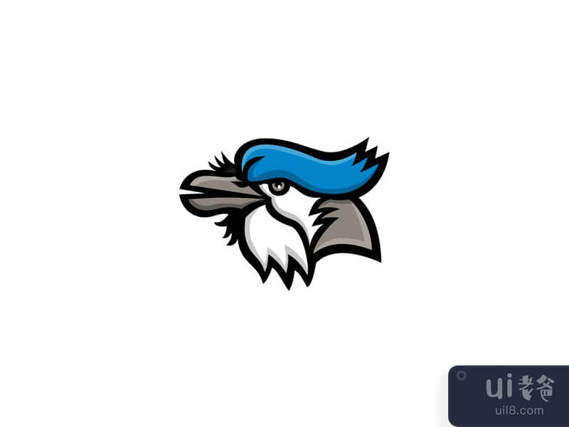Blue Jay Head Mascot