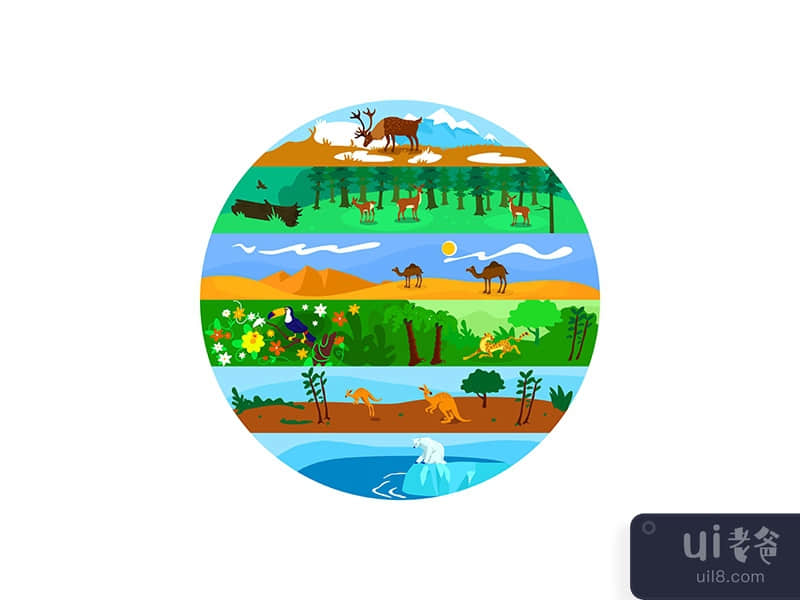 Biodiversity 2D vector web banner, poster