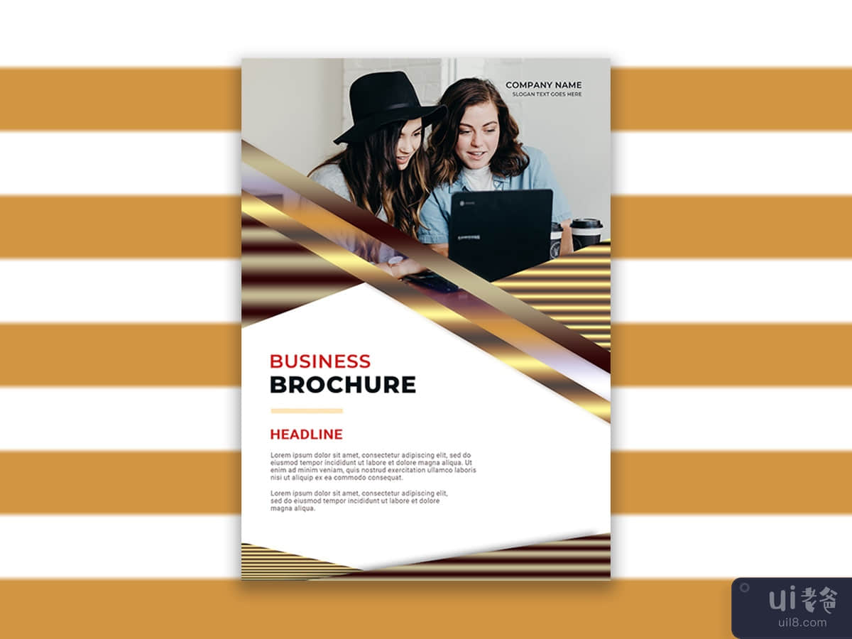 business brouchure - flyer