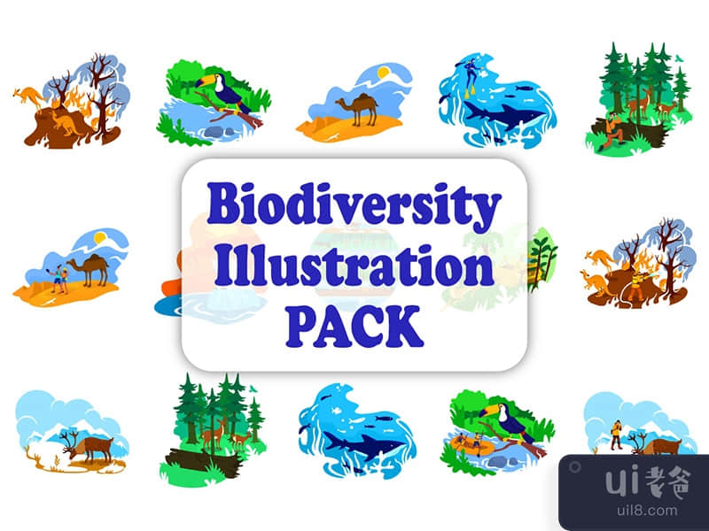 Biodiversity 19 illustration bundle