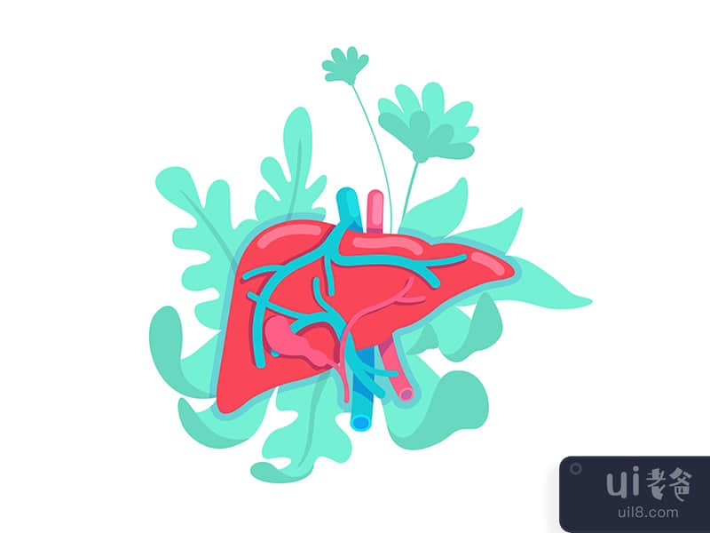 Anatomical liver flat concept vector illustration