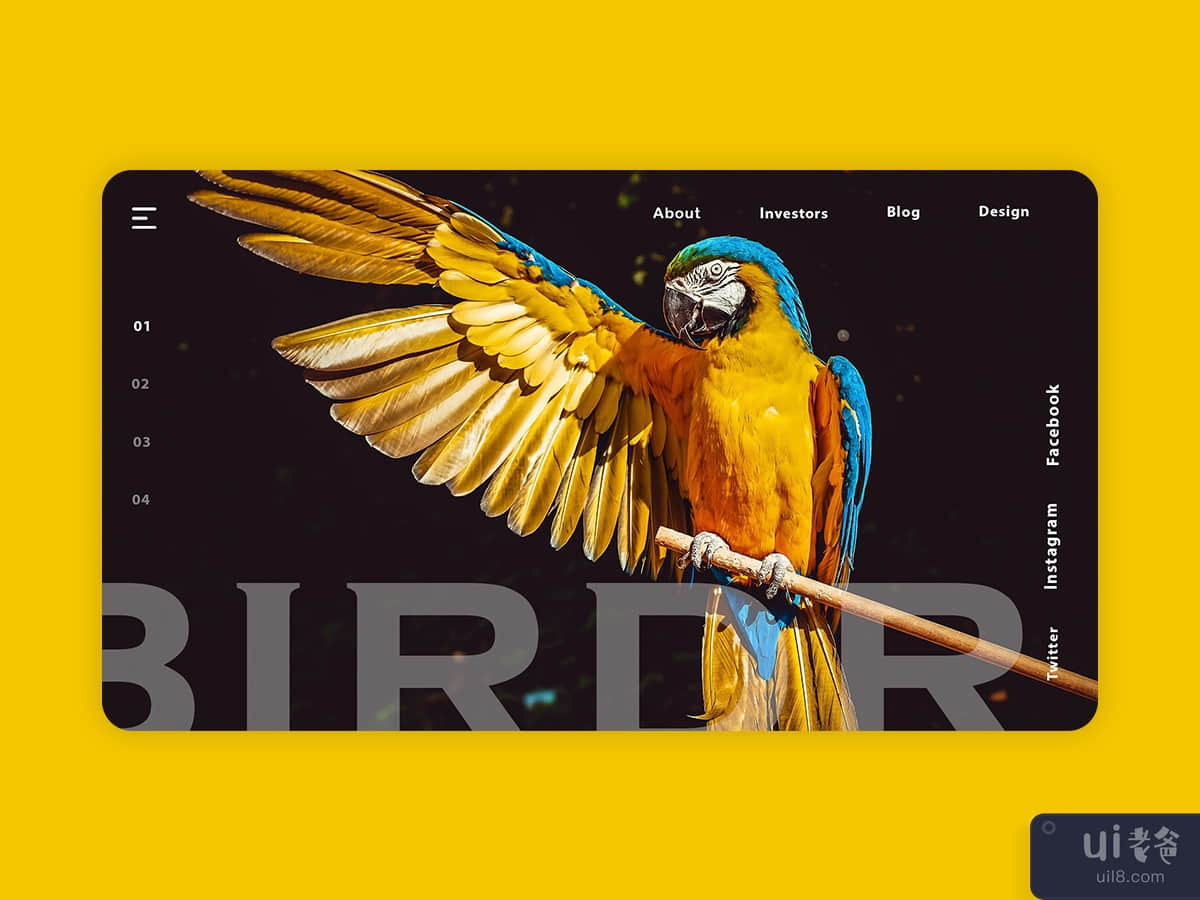 Birdr Web Page