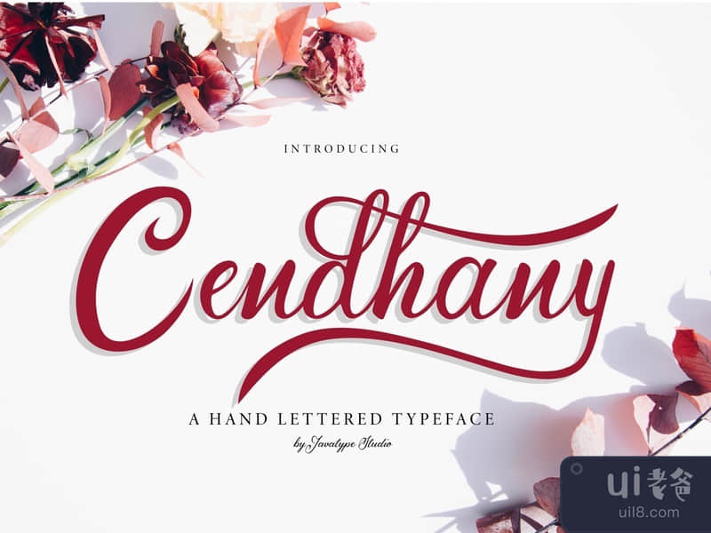 Cendhany A Hand-Letterred Typeface