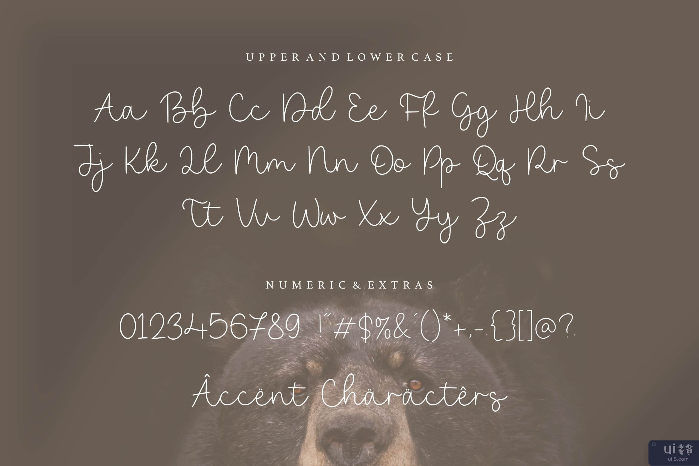 Bearline 是一种休闲的 Monoline Script 字体(Bearline is a Casual Monoline Script Font)插图2