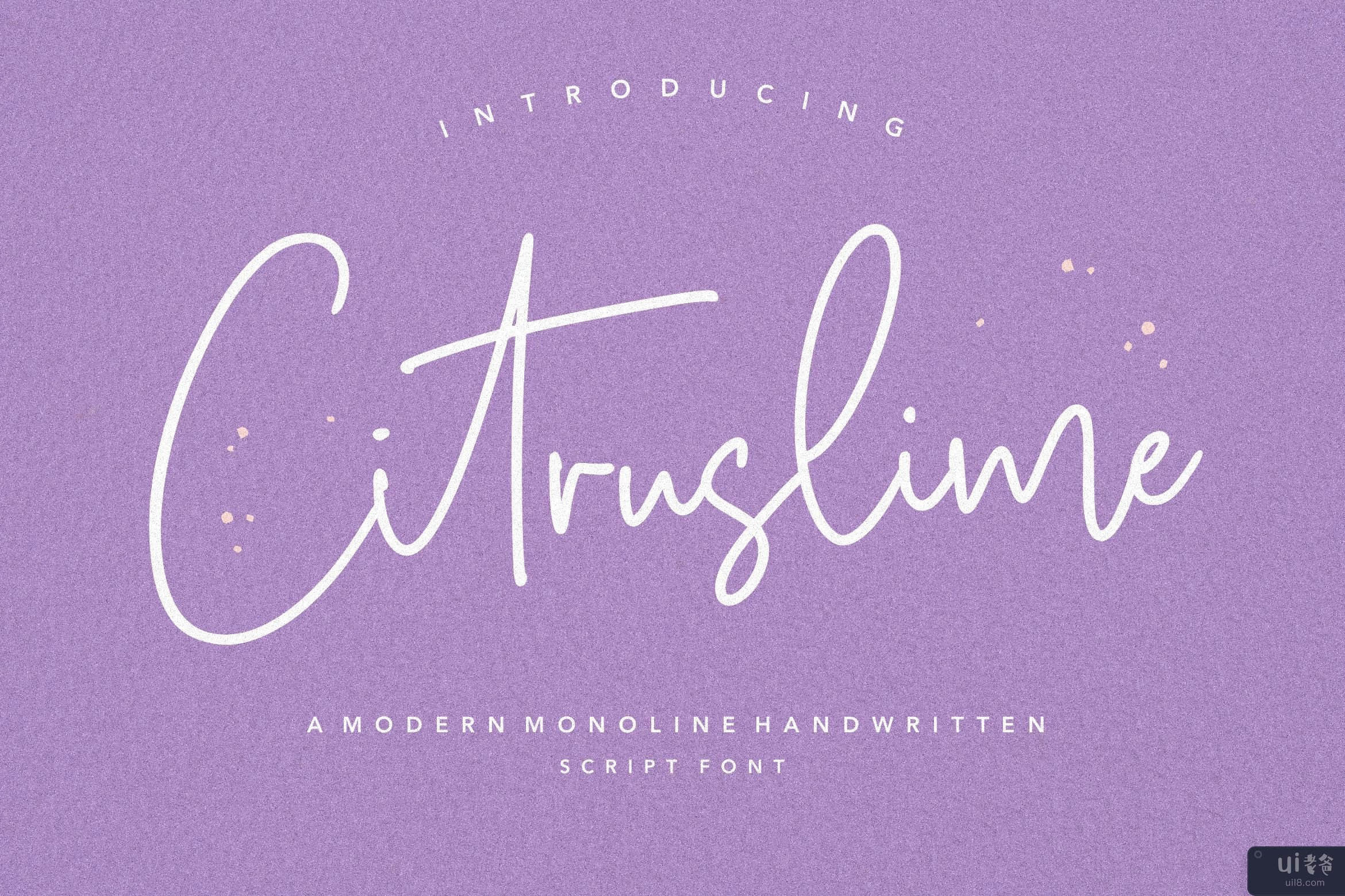Citruslime 是一种现代单行手写脚本字体(Citruslime is a Modern Monoline Handwritten Script Font)插图8