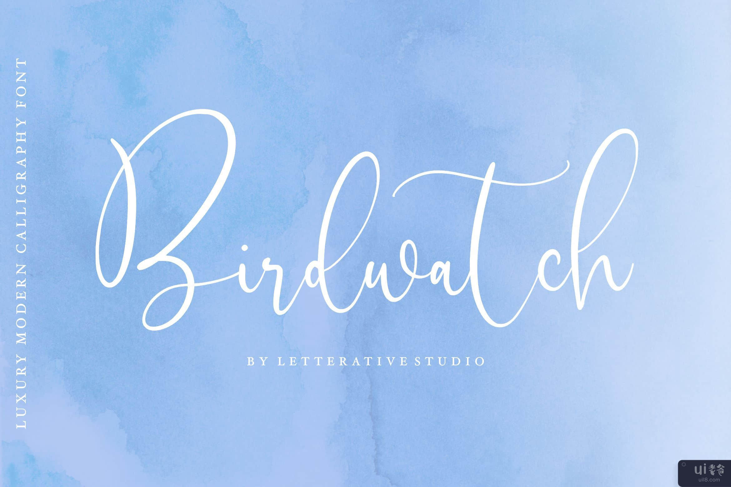 Birdwatch 是一种豪华的现代书法字体(Birdwatch is a Luxury Modern Calligraphy Font)插图2