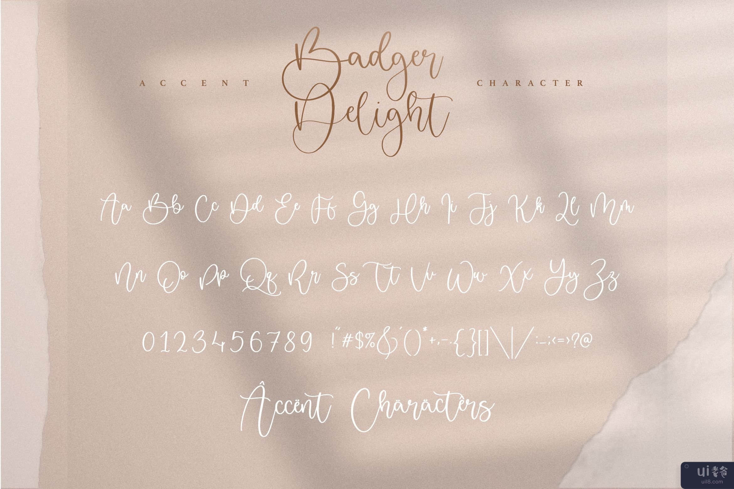 Badger Delight 是一种现代单行脚本字体(Badger Delight is a Modern Monoline Script Font)插图4