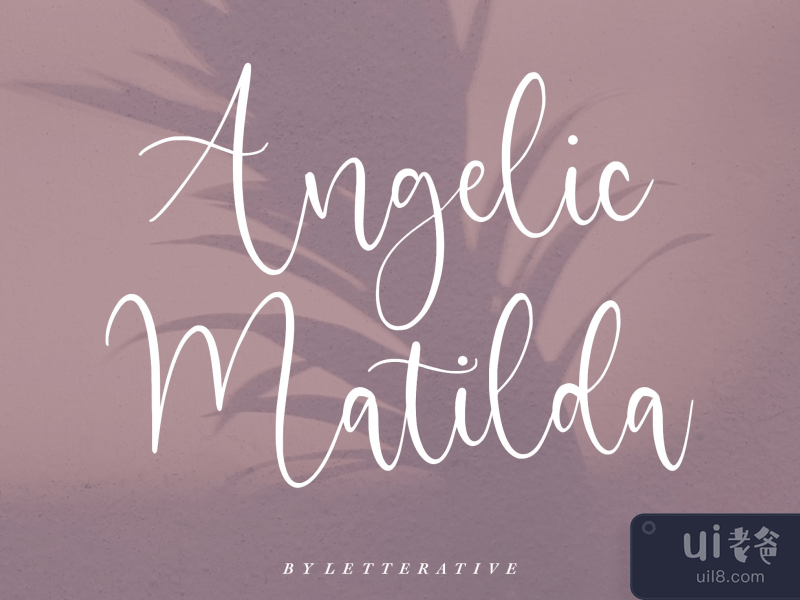  Angelic Matilda Beautiful Modern Calligraphy Font