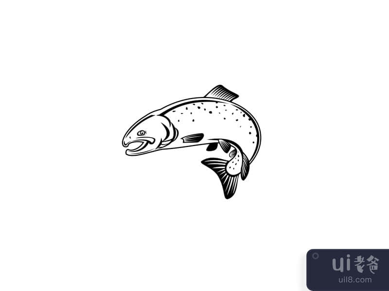 Coho Salmon Silver Salmon or Silvers Jumping Up Retro Woodcut Black and White