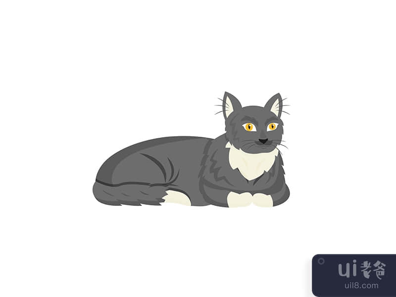 Black cat flat color vector character