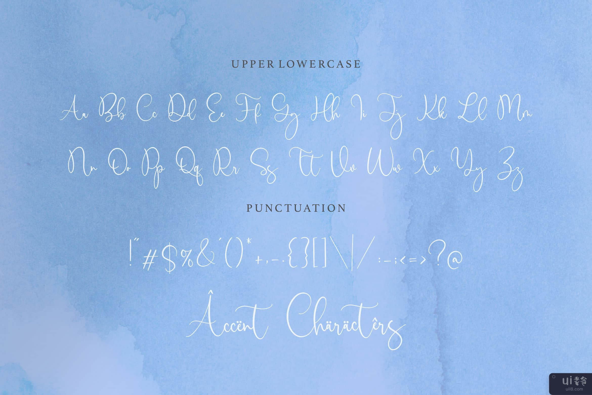 Birdwatch 是一种豪华的现代书法字体(Birdwatch is a Luxury Modern Calligraphy Font)插图3