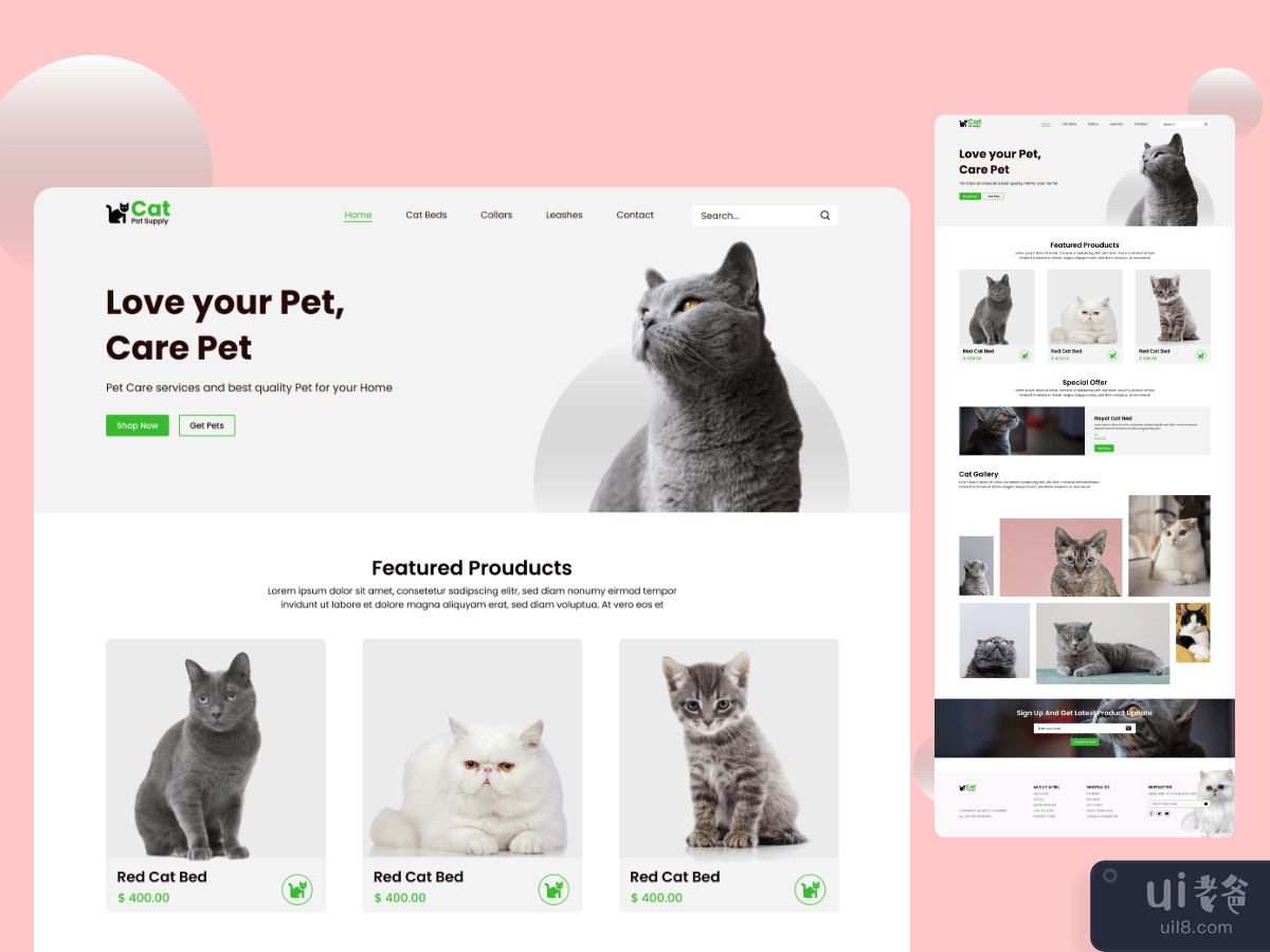Cat website Design