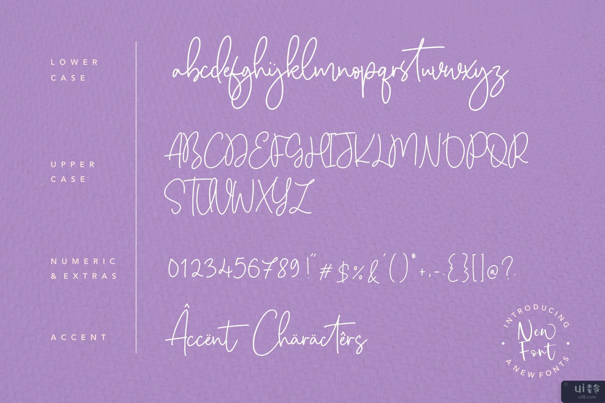Citruslime 是一种现代单行手写脚本字体(Citruslime is a Modern Monoline Handwritten Script Font)插图3